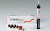 Es Temp Implant/ Эс Темп Имплант (8гр 1 шпр, 6 смеш. насадок,полипанель), Spident (Южная Корея) Es Temp Implant/ Эс Темп Имплант (8гр 1 шпр, 6 смеш. насадок,полипанель), Spident (Южная Корея)